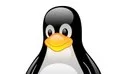 linux定时任务crontab未生效